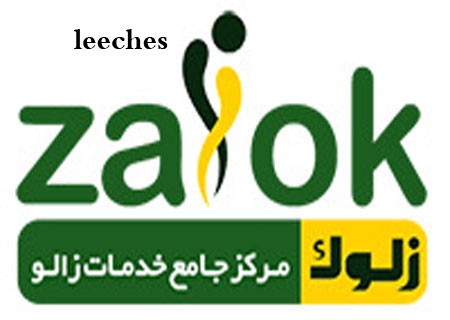 زالوک صنعت زالوی ایران zalok