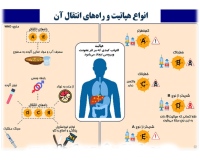 هپاتیت چیست؟ Hepatitis