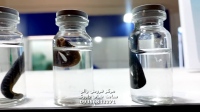 نمایشگاه زالو